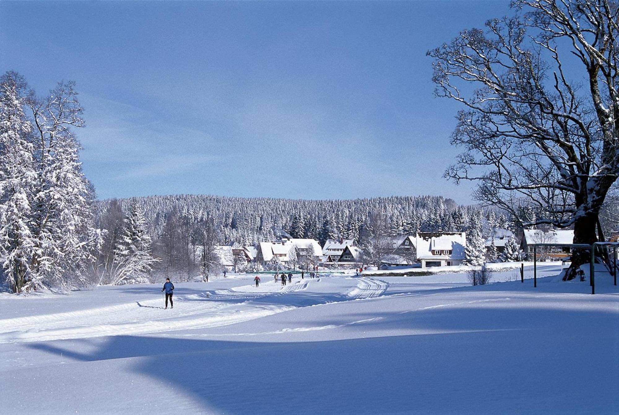 Drei Tannen - Wohnung 09 - Apartmenthaus, Titisee, Feldberg Exterior photo